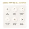 Máy Xay Sinh Tố Cầm Tay OLIVO PB01 2
