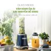 Máy xay sinh tố OLIVO MB300 1