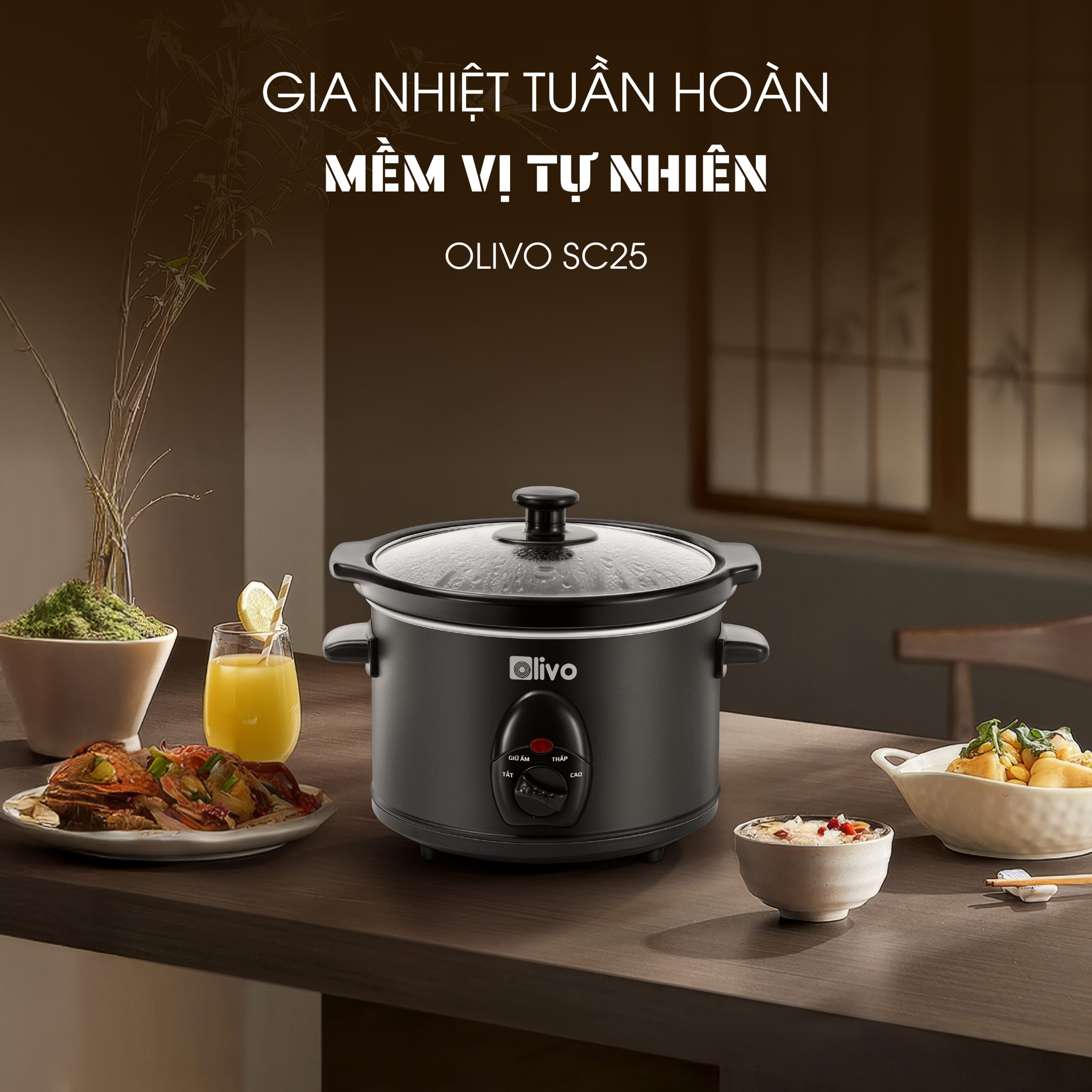 SC25-SC30 LDP VUÔNG-11